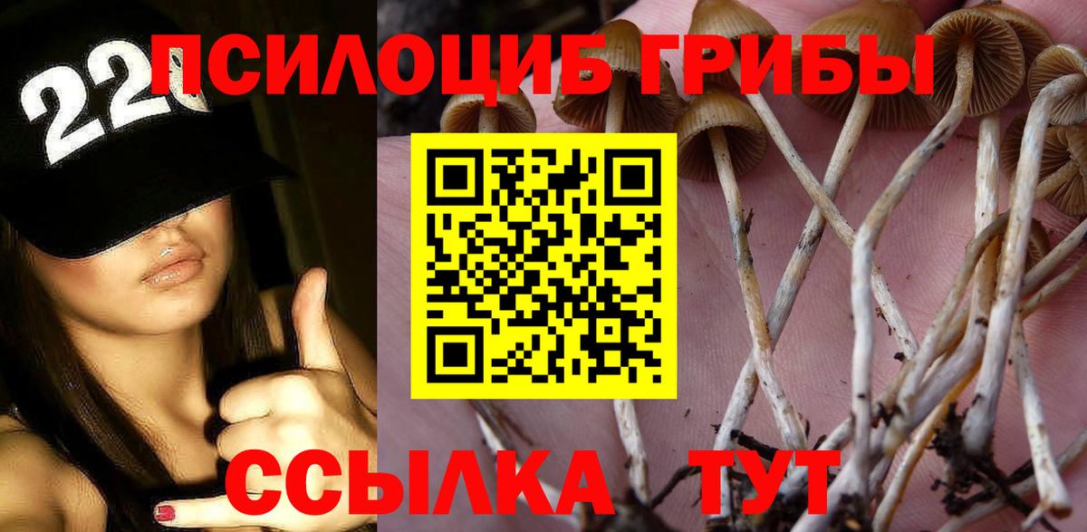 Псилоцибиновые грибы мицелий  Вход с VPN  Балашиха 